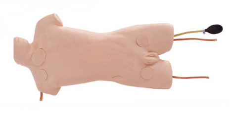 73c880d5-aa1e-46d7-a268-936d9a4bde92.png