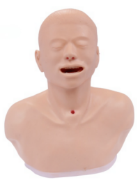 4423843a-ec59-4ff4-b4f0-027ecd7d6a0f.png