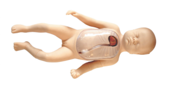 新生儿外周中心静脉插管模型  L67B.png
