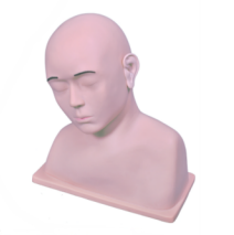 高级耳冲洗训练模型  LV40.png