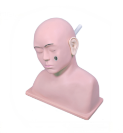 高级耳诊断模型  LV41.png