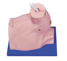 肩关节镜检查模型  LV67.png