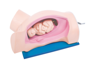 da8390f3-d27c-4c0a-bda6-4fa011e67545.png