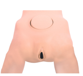 eaf4f2a9-0770-4426-b01b-17aaca3e868e.png