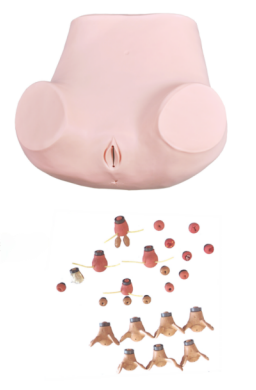 高级妇科综合检查训练模型  F35.png