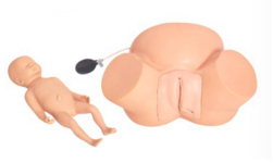 585d494f-f664-4940-ad51-f7eeab75a180.png