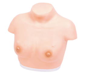 高级乳腺视诊与触诊模型 14A.png