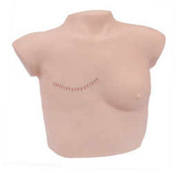 baf0c709-c381-40a7-af78-85bdb12c0d5c.png