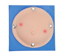 乳腺脓肿检查操作模型  14D.png