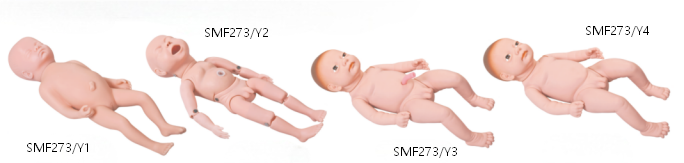 高级出生婴儿模型  Y1-Y4.png