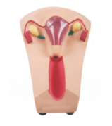 4bfd102d-a24b-427b-96f9-9438a7895f81.png