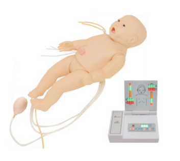 全功能新生儿高级模拟人 T535.png