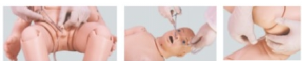 2a9d1d95-77af-4639-8034-734777e13588.png